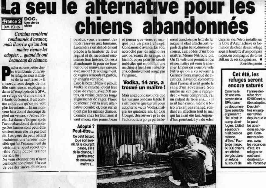 article sur la vie des chiens au refuge de Gennevilliers
